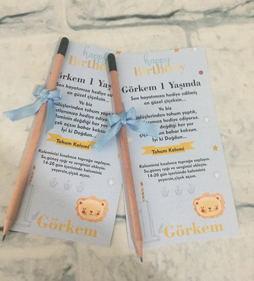 1 Yaş Erkek Temalı Kişiye Özel Tohum Kalemi 6 Adet