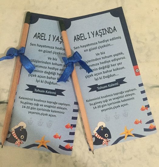 Denizci 2 Temalı Kişiye Özel Tohum Kalemi 6 Adet