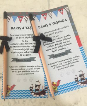 Korsan Temalı Kişiye Özel Tohum Kalemi 6 Adet