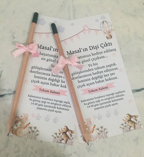 Tavşan Temalı Diş Buğdayı Kız Temalı Kişiye Özel Tohum Kalemi 6 Adet
