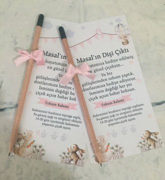 Tavşan Temalı Diş Buğdayı Kız Temalı Kişiye Özel Tohum Kalemi 6 Adet
