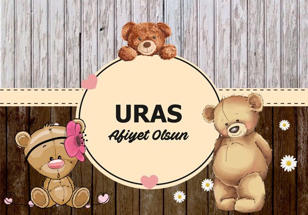 Ayıcık Temalı Kişiye Özel Amerikan Servisi 6 Adet