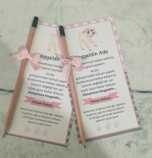 Kuzu Temalı Kişiye Özel Tohum Kalemi 6 Adet