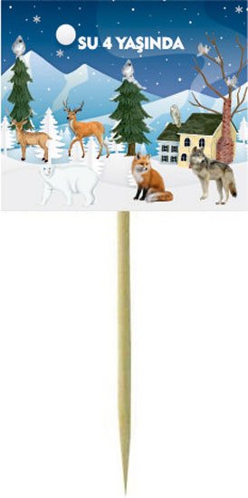 Kış Temalı Kişiye Özel Küçük Kürdan 12 Adet