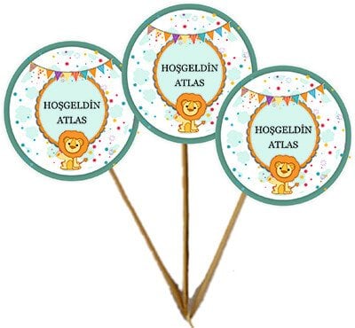 Sevimli Aslan Kişiye Özel Kürdan Süs 12 Adet