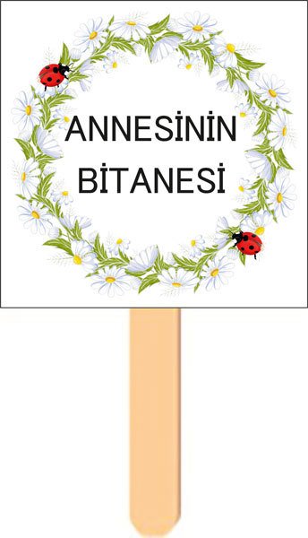 Papatya Temalı Konuşma Balonu 11