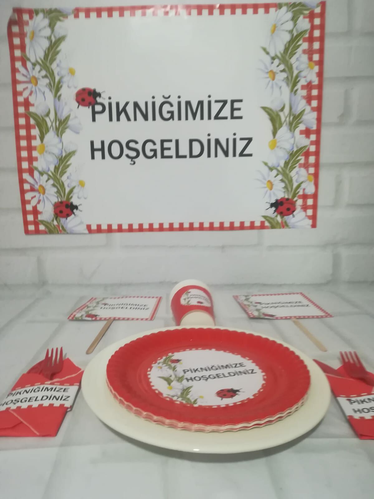 Piknik Temalı Sunum Masası