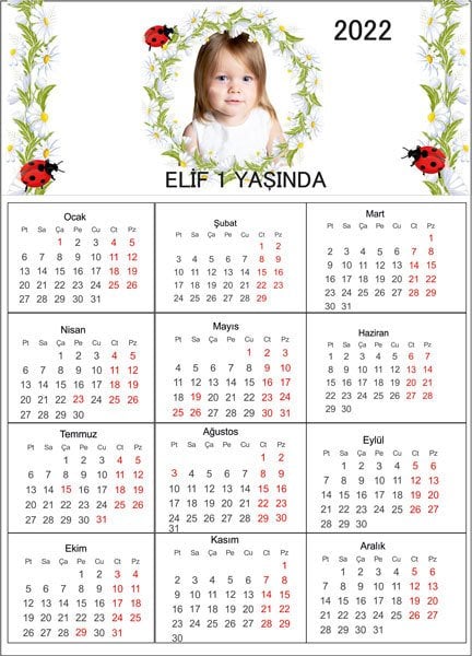 Papatya Temalı Kişiye Özel Takvim Magnet 4 Adet