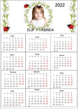 Papatya Temalı Kişiye Özel Takvim Magnet 4 Adet