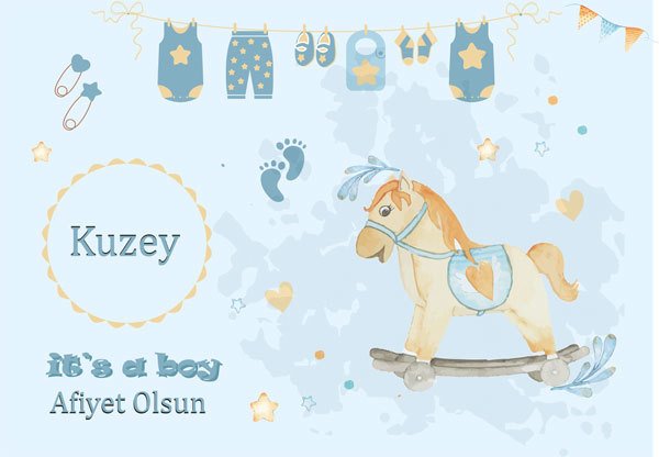 İt is Boy Temalı Kişiye Özel Amerikan Servisi 6 Adet