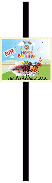 At Yarışı Jokey Temalı Kişiye Özel Pipet 6 Adet