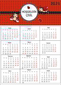 Uğur Böceği Temalı Kişiye Özel Takvim Magnet 4 Adet