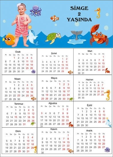Okyanus Kişiye Özel Takvim Magnet 4 Adet