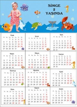 Okyanus Kişiye Özel Takvim Magnet 4 Adet