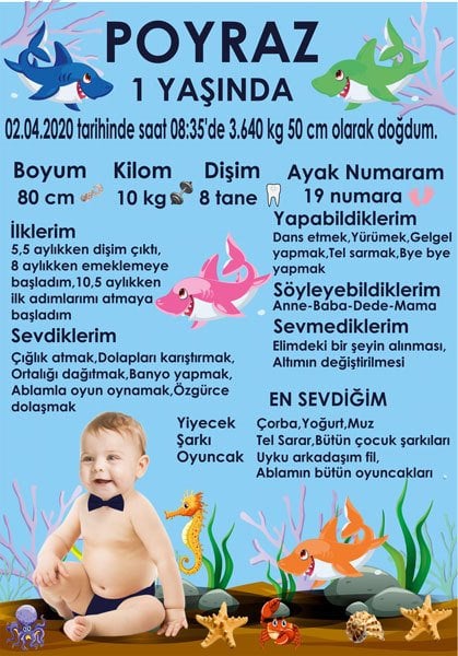 Sevimli Köpek Balığı Temalı Kişiye Özel Anı Magneti 1 Adet