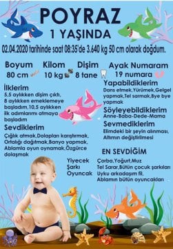 Sevimli Köpek Balığı Temalı Kişiye Özel Anı Magneti 1 Adet