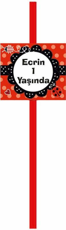 Uğur Böceği 2 Temalı Kişiye Özel Pipet 6 Adet