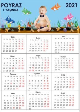 Sevimli Köpek Balığı Temalı Kişiye Özel Takvim Magnet 4 Adet