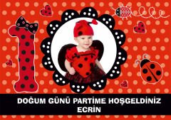 Uğur Böceği 2 Temalı Kişiye Özel Afiş