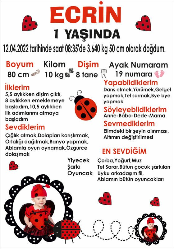 Uğur Böceği Temalı Kişiye Özel Anı Magneti 1 Adet