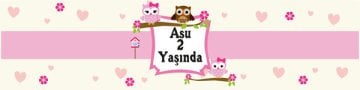 Baykuş Temalı Kişiye Özel Peçete Sargısı 6 Adet