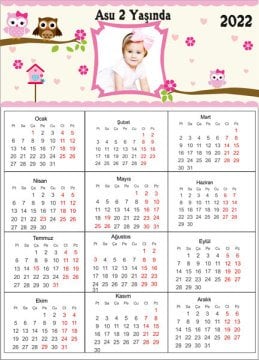 Baykuş Temalı Kişiye Özel Takvim Magnet 4 Adet