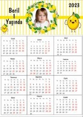 Limon Temalı Kişiye Özel Takvim Magnet 4 Adet