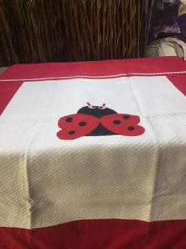 Keçe Uğur Böcekli Bebek Pike Takımı