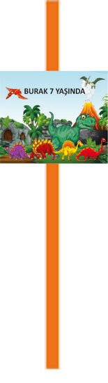 Dinazor Temalı Kişiye Özel Pipet 6 Adet