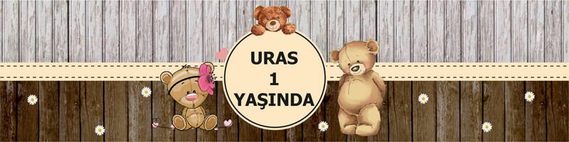 Ayıcık 2 Temalı Kişiye Özel Peçete Sargısı 6 Adet