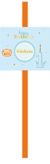 1 Yaş Erkek Temalı Kişiye Özel Pipet 6 Adet